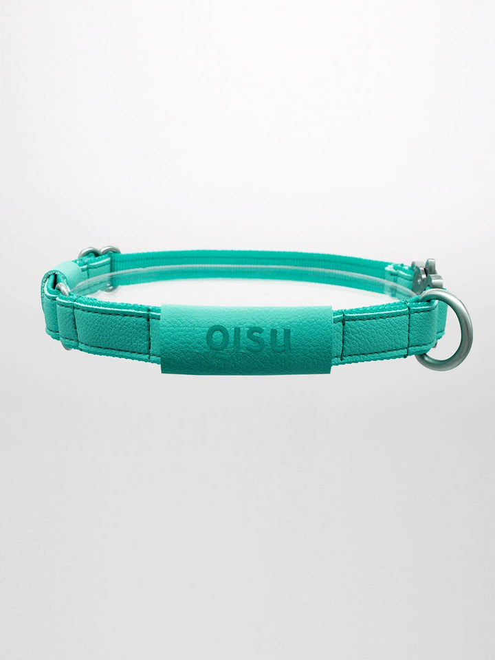 Qisu - Dog Collar | Air Collection: / Kiwi