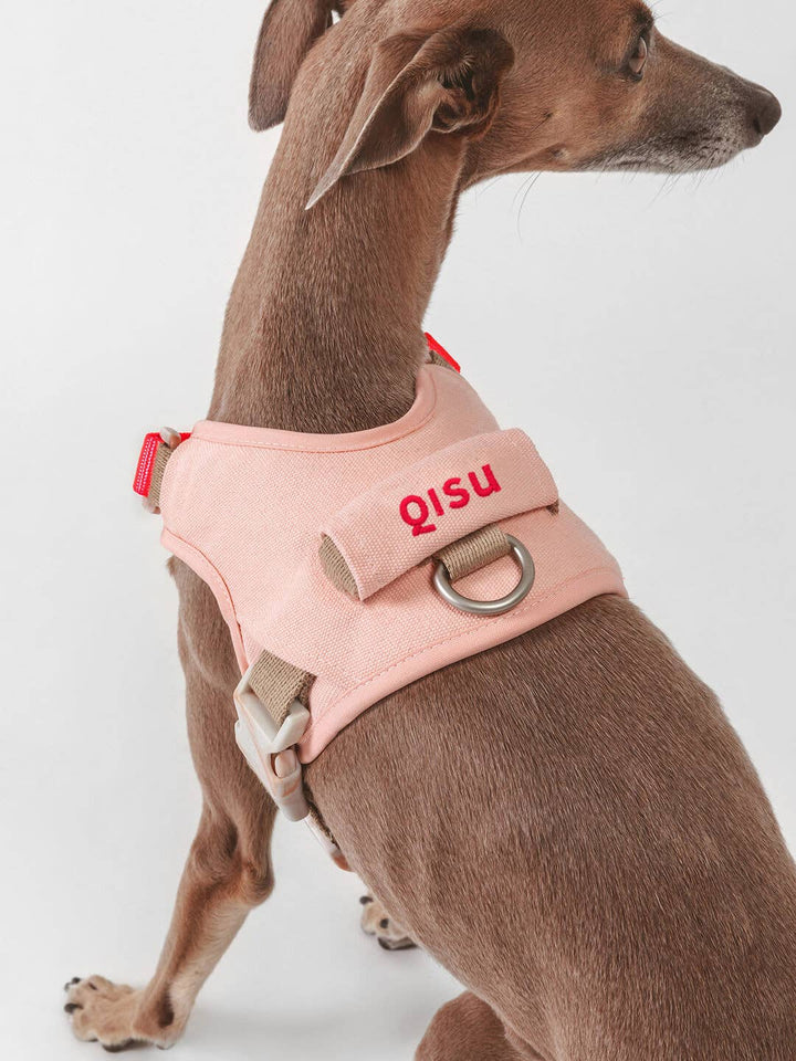 Qisu - Dog Harness | Hug Harness: / Mint