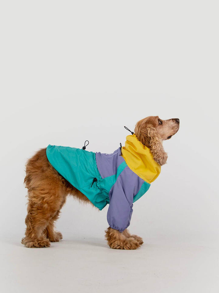Qisu - Dog Raincoat | Tropical Color: / With pants