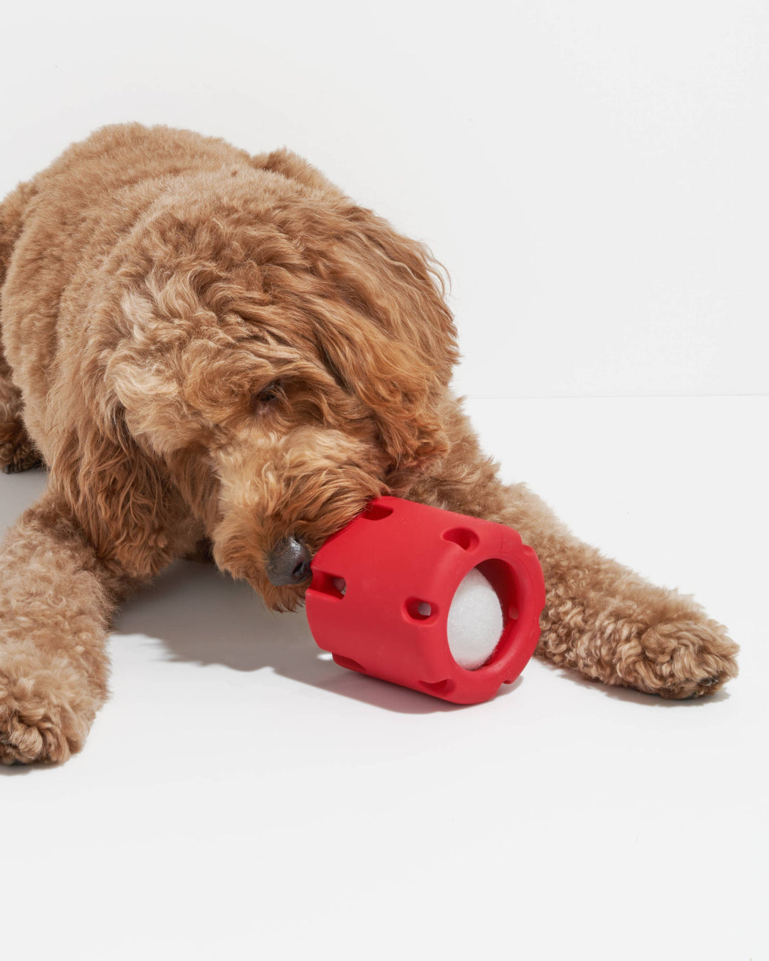Wild One - Tennis Tumble Interactive Dog Toy