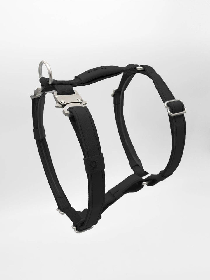 Qisu - Dog Harness | Air Collection: / Curry