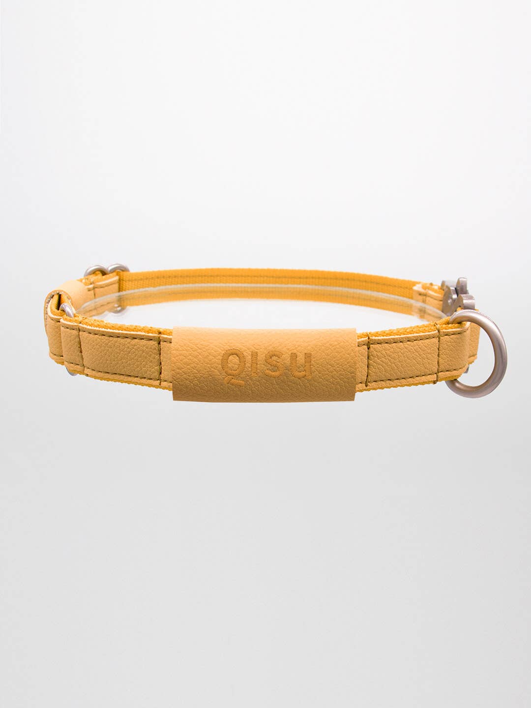 Qisu - Dog Collar | Air Collection: / Kiwi