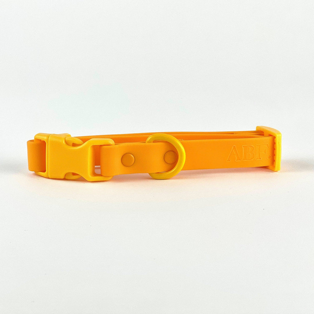 The Fritz Collar - Durable, Waterproof & Two-Tone | Orange