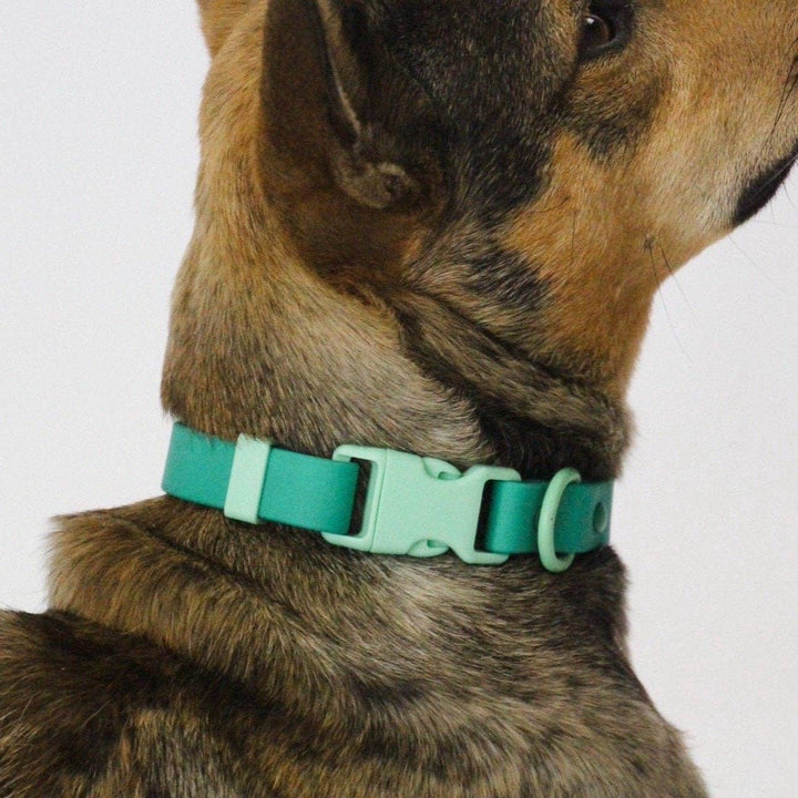 The Fritz Dog Collar - Durable, Waterproof&Two-Tone | Green