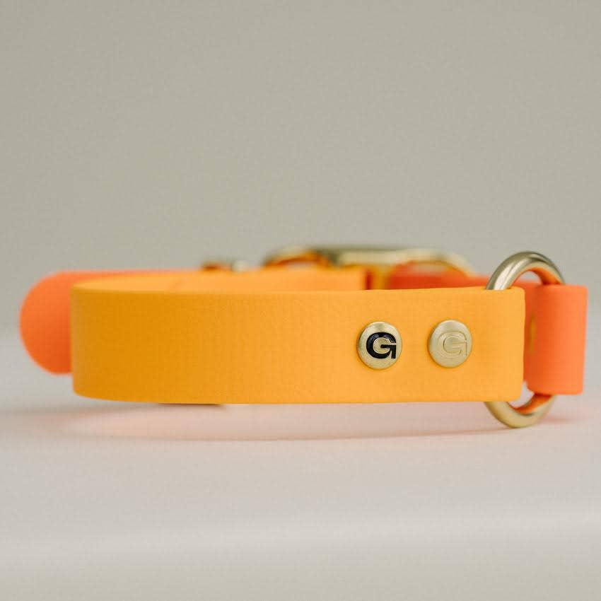 GULA DOG CARE - Classic Dog Collar - Bright Orange & Orange(25mm width)
