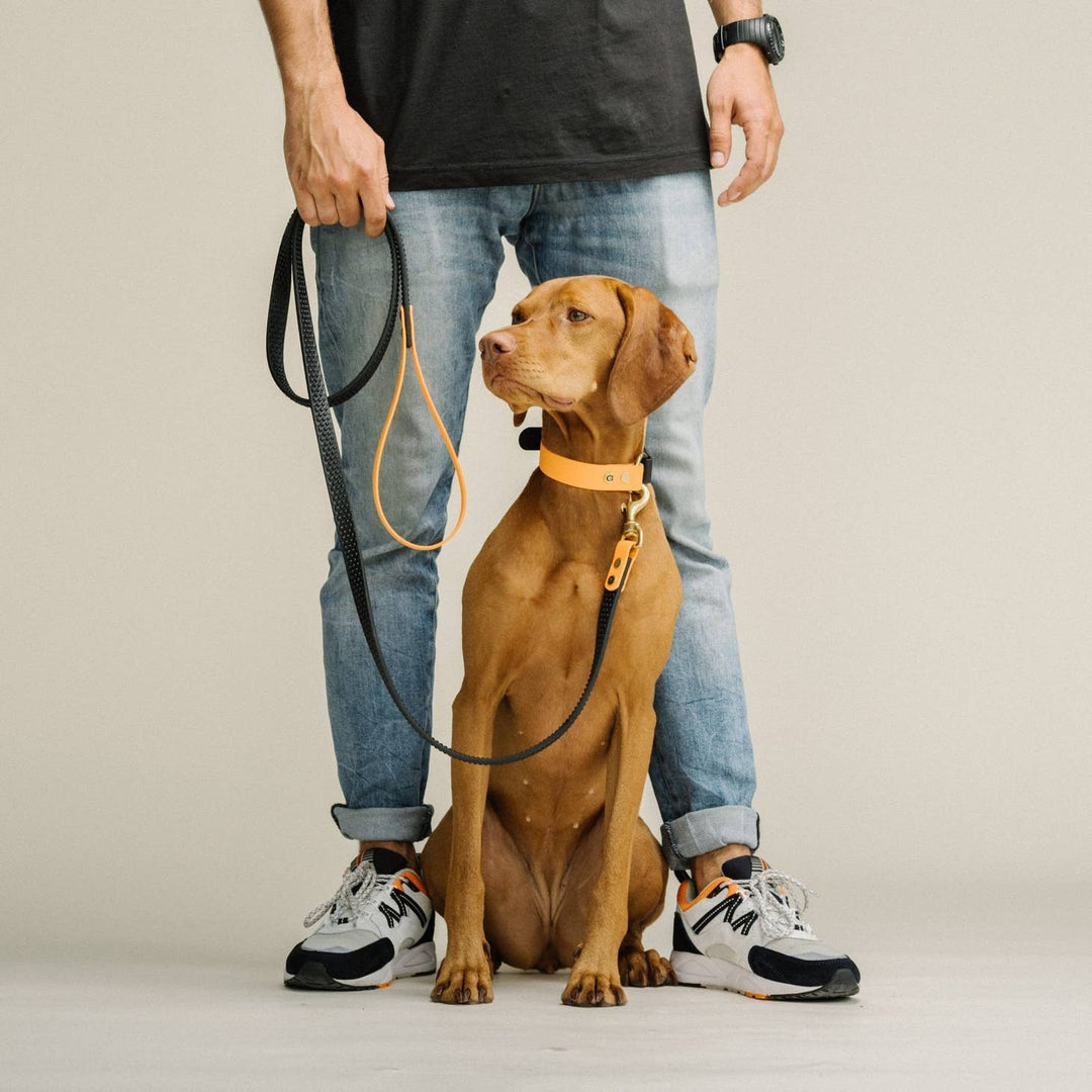 GULA DOG CARE - GULA Dog Leash (various colours)