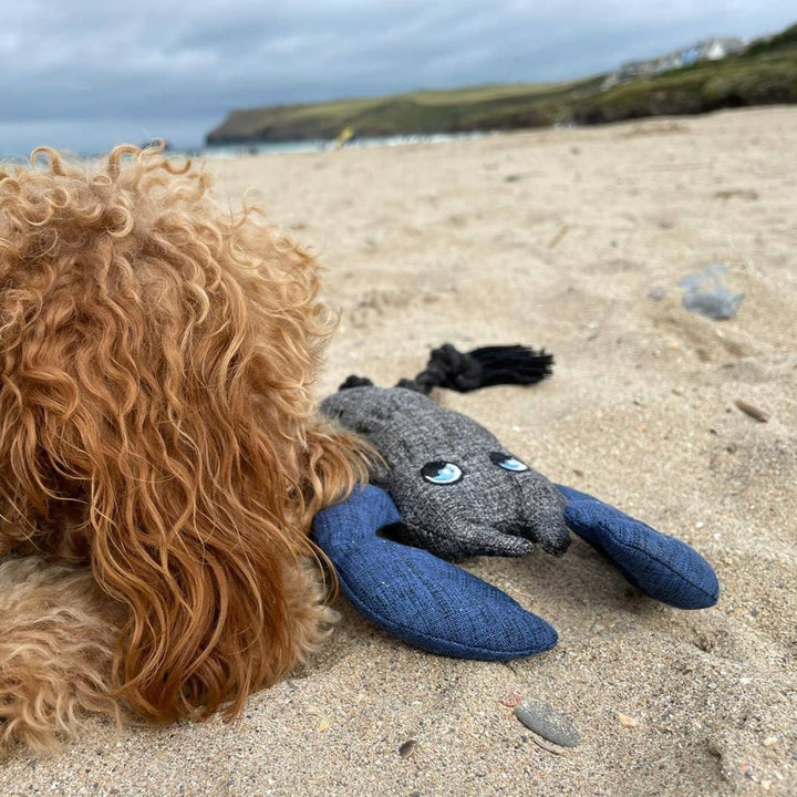 Paws the Planet - Eco Conscious Lobster Dog Toy