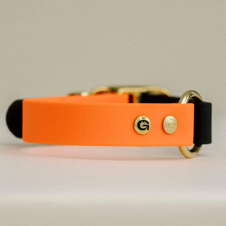 GULA DOG CARE - GULA Dog Collar - Bright Orange & Black - 25mm