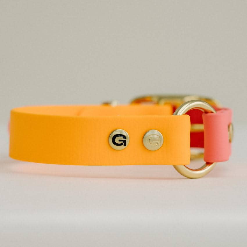 GULA DOG CARE - GULA Dog Collar - Orange & Pink - 25mm