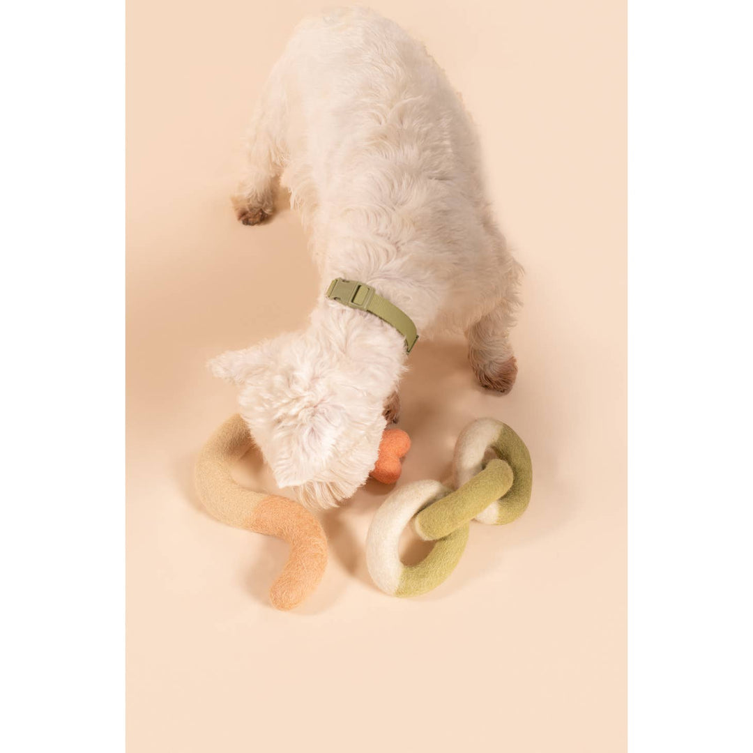 Awoo - Noodle Felt Dog Toy in Aqua