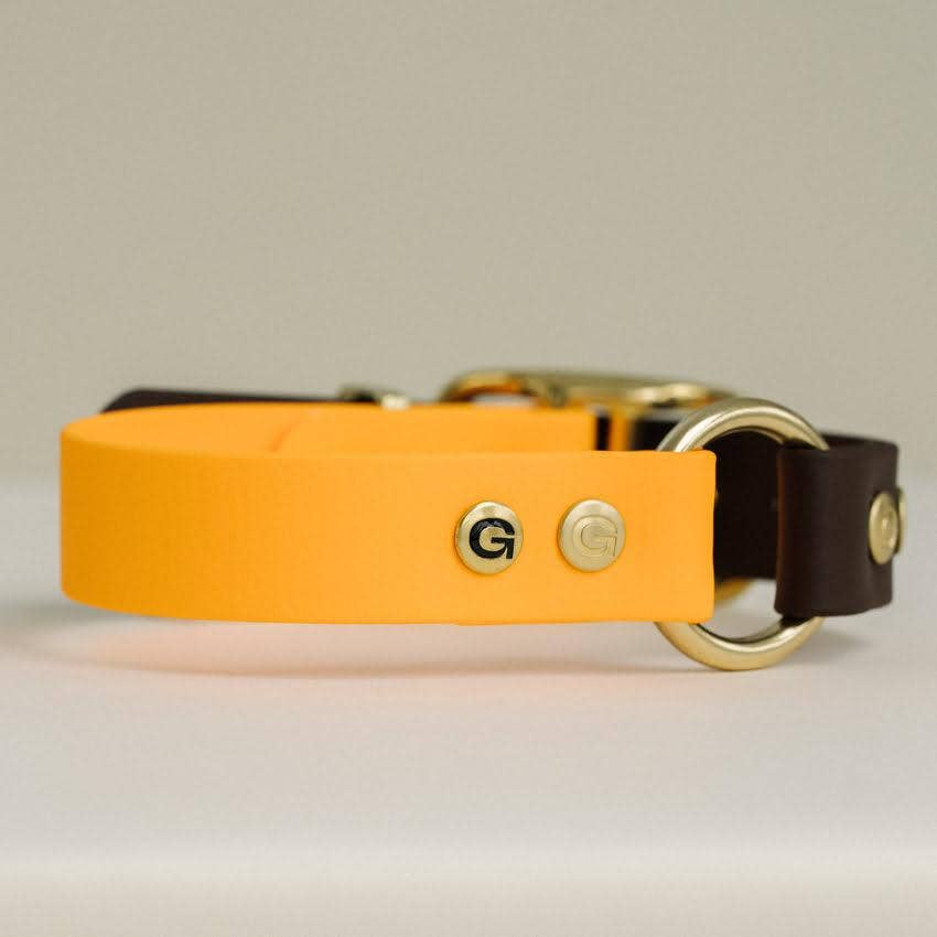 GULA DOG CARE - GULA Dog Collar - Black - 25mm Dog Collar - Orange & Brown - 25mm