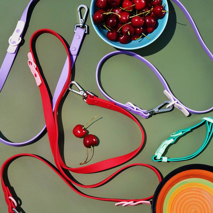 The Fritz Leash - Durable, Adjustable & Two-tone | Cherry