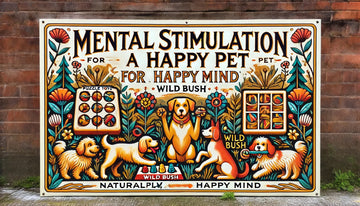 The Importance of Mental Stimulation for Dogs