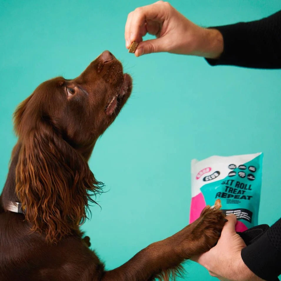 Dog Treats