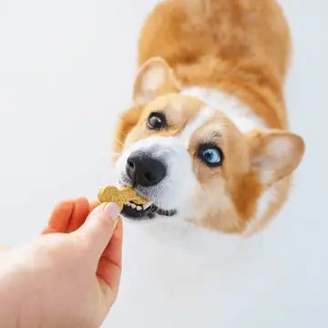 Natural Dog Treats