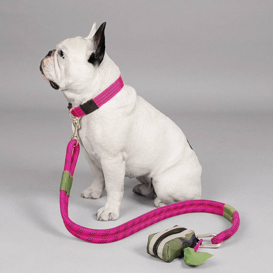 Dog Walking Accessories & Essentials