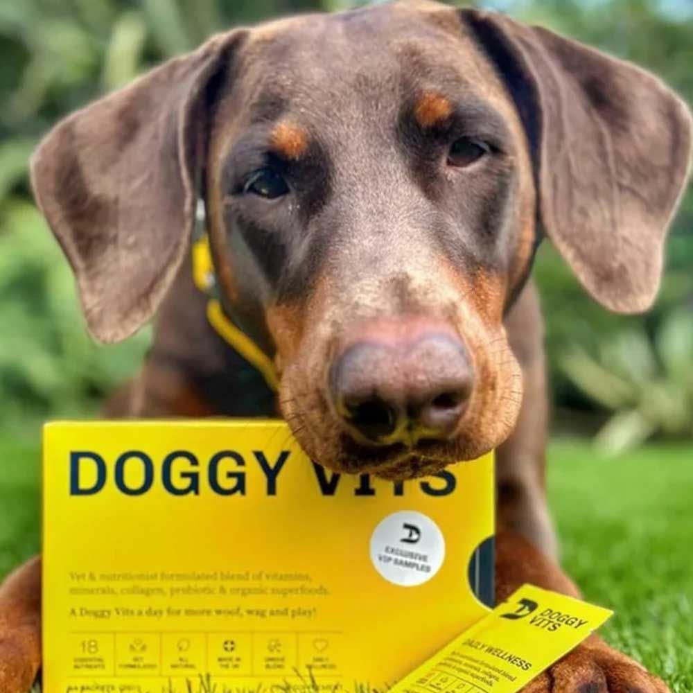 Doggy Vits Daily Wellness Box