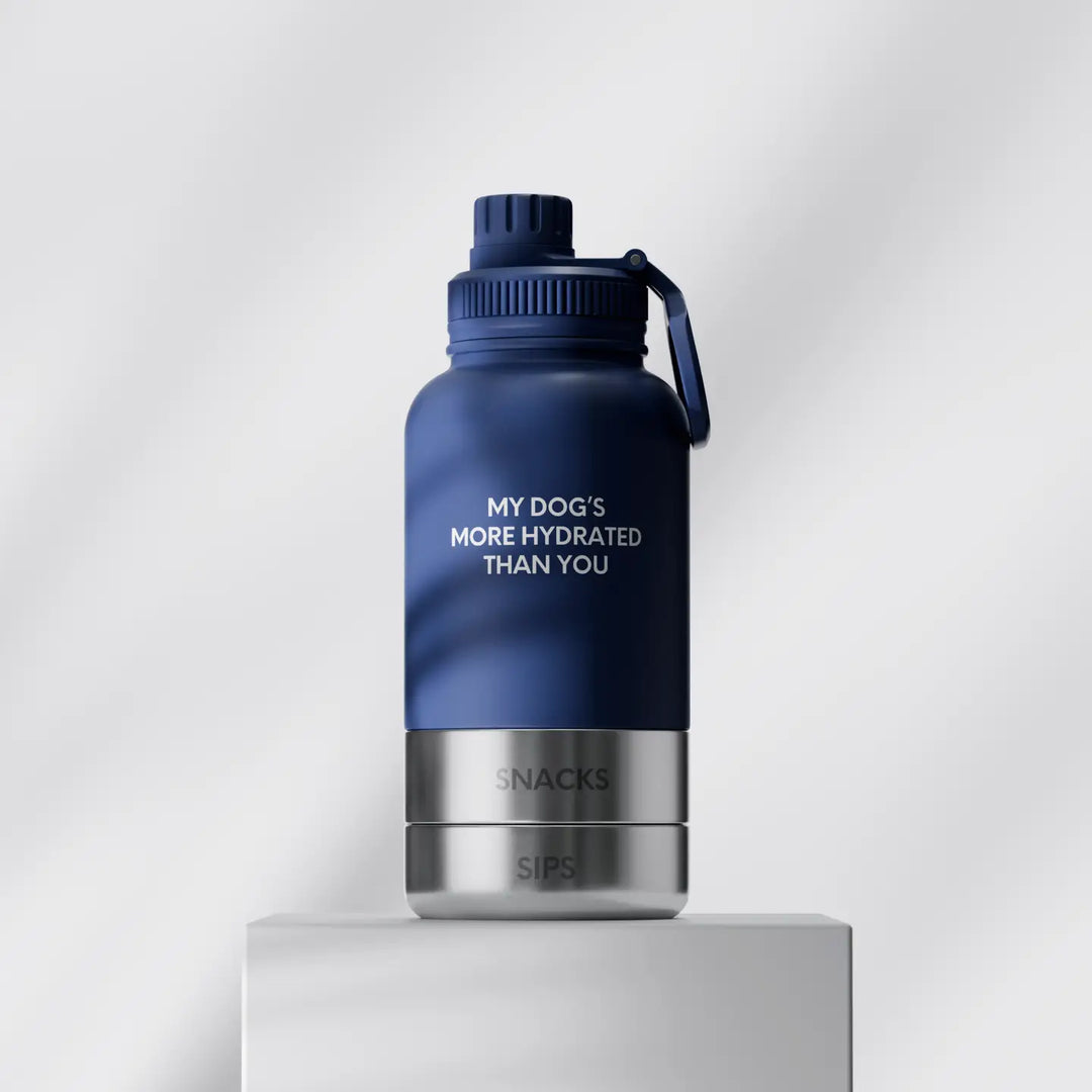 ByTeddy The Bowl Bottle | 3-in-1 Travel Bottle