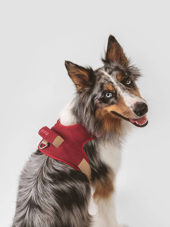 Qisu - Dog Harness | Hug Harness: / Navy