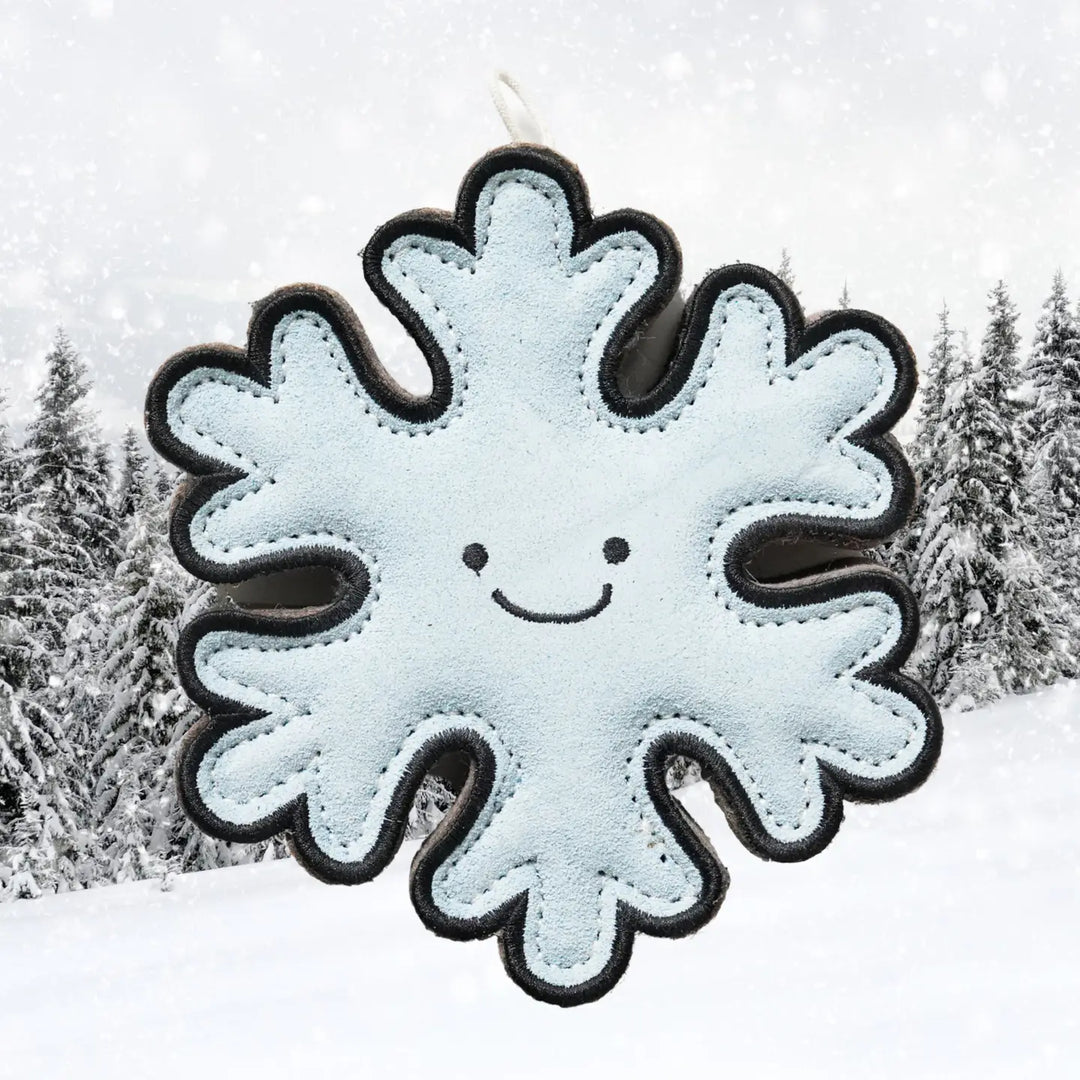 Flakey the Snowflake Shaped Eco Dog Toy
