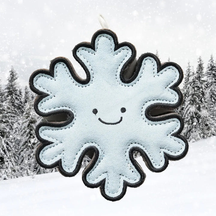 Flakey the Snowflake Shaped Eco Dog Toy