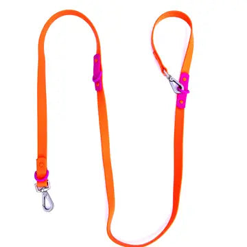 The Fritz Dog Leash |