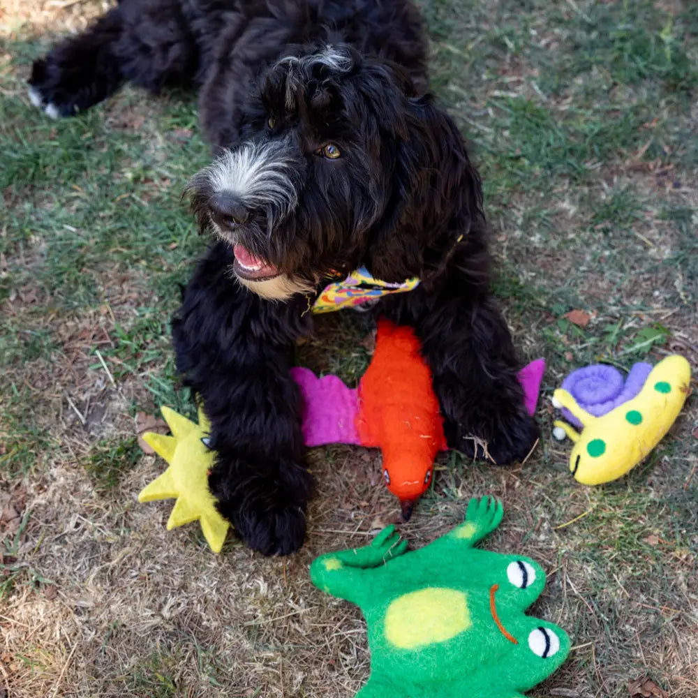 Freddy Frog Felt Toy