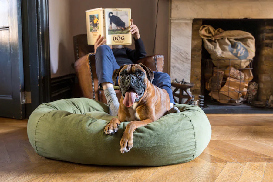 Hindquarters Medium Dog Bed