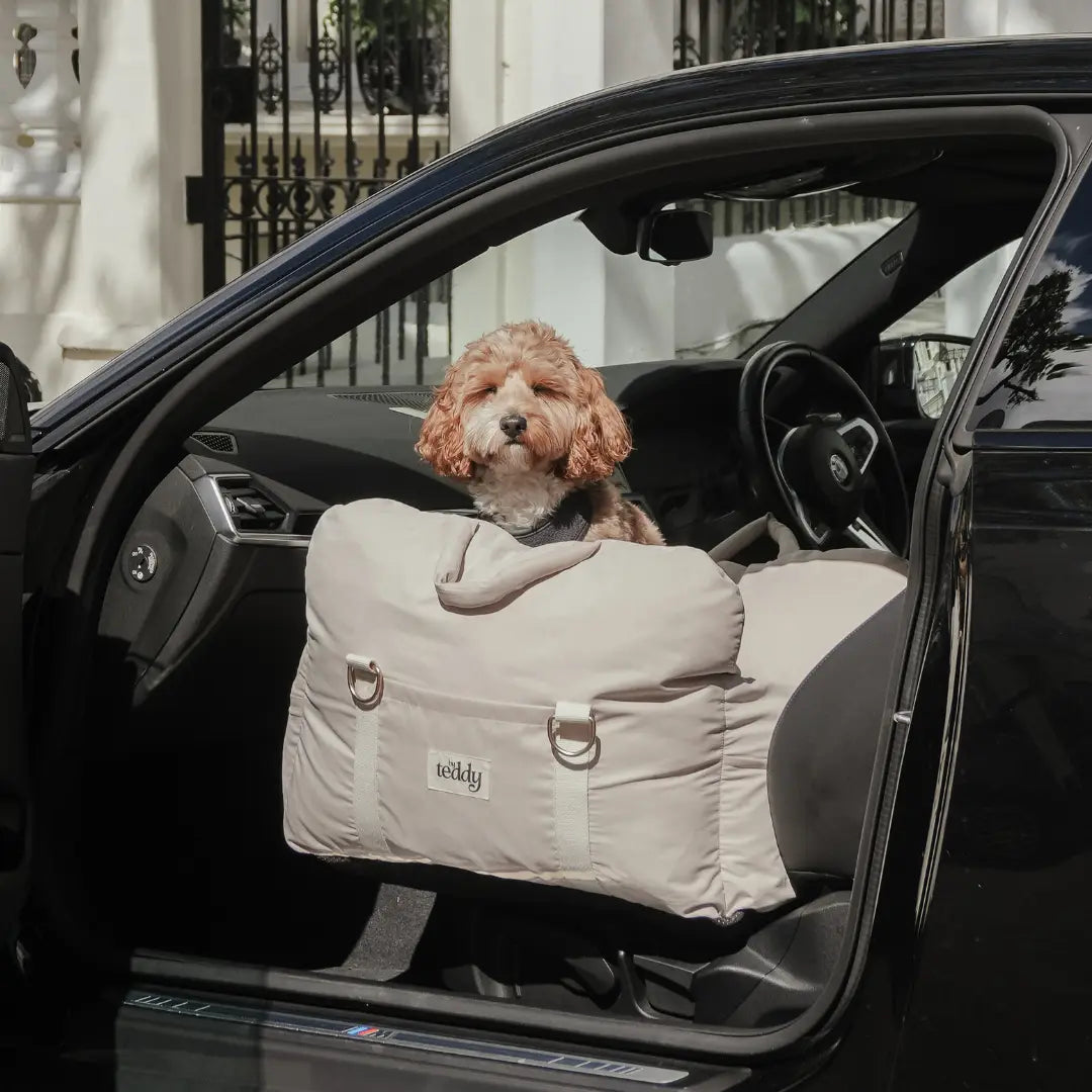 ByTeddy The Puffer Car Seat