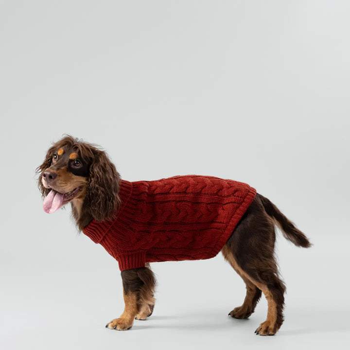 Hackett X Hugo Hudson Cable Knit Pullover Dog Jumper - Brick