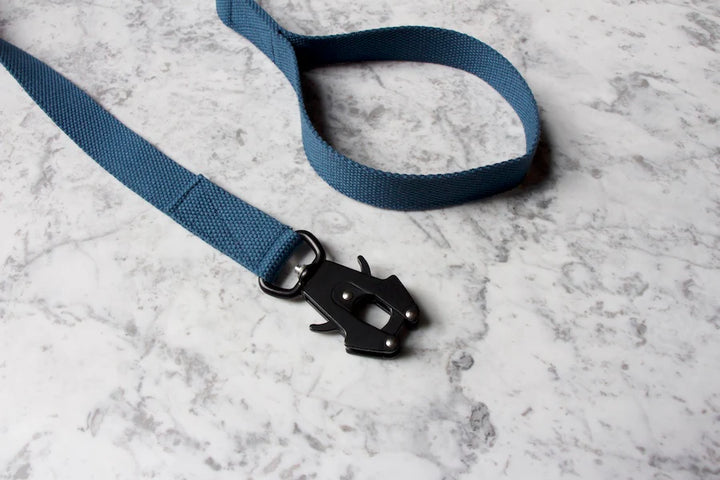 Hindquarters Puddle Blue Lead