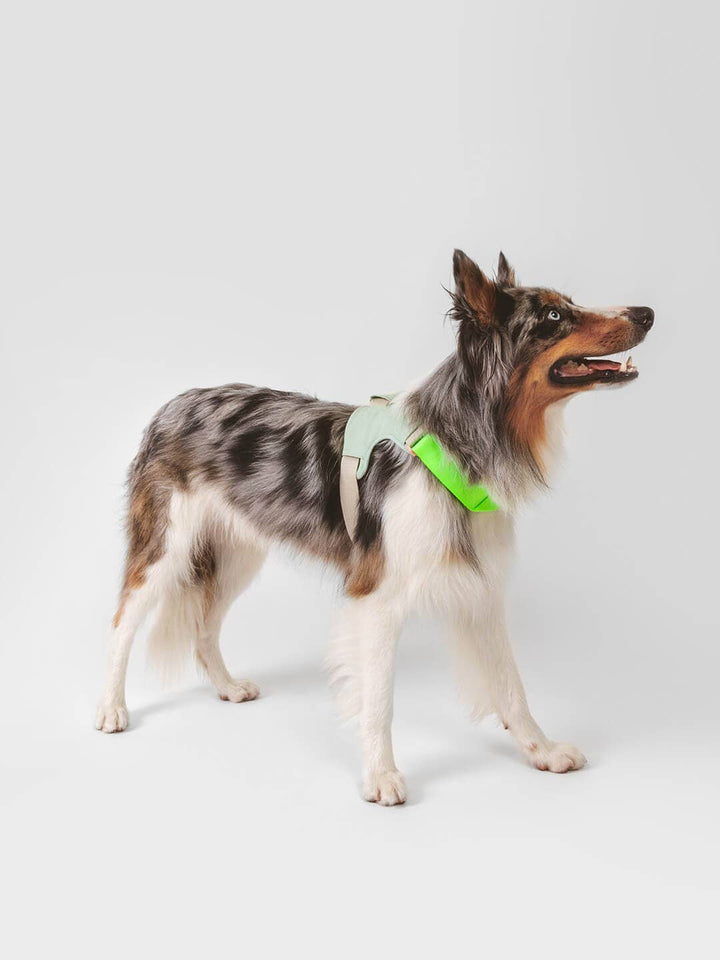 Qisu - Dog Harness | Hug Harness: / Navy