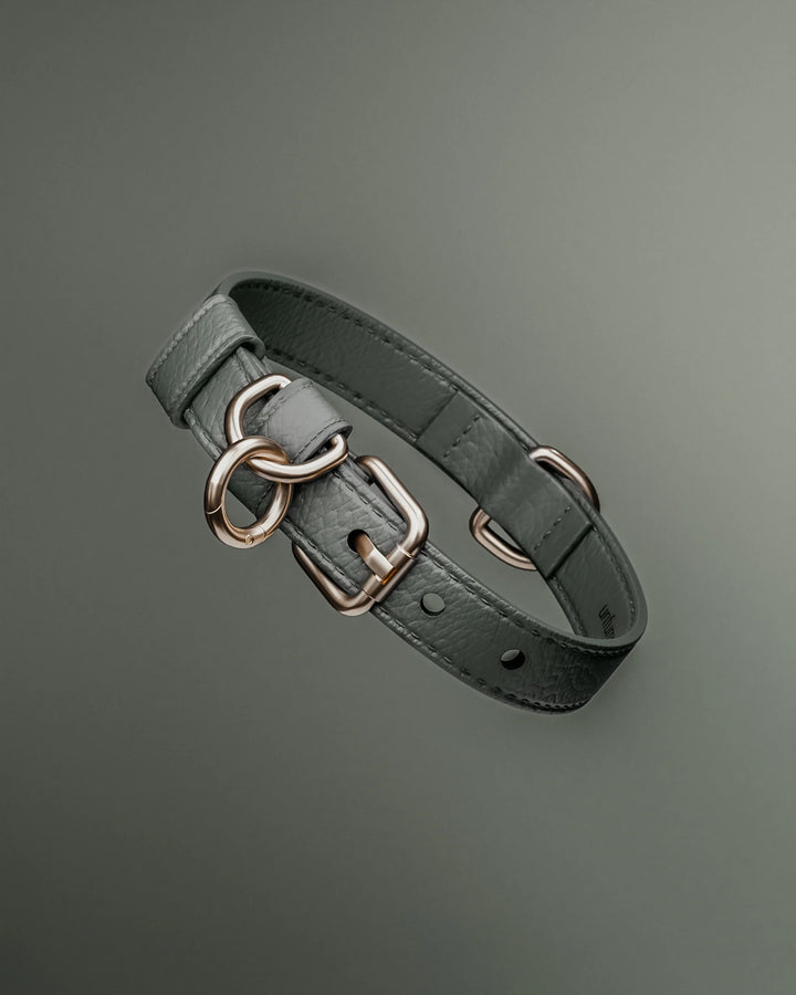 ByTeddy Matcha┃Studio Collar