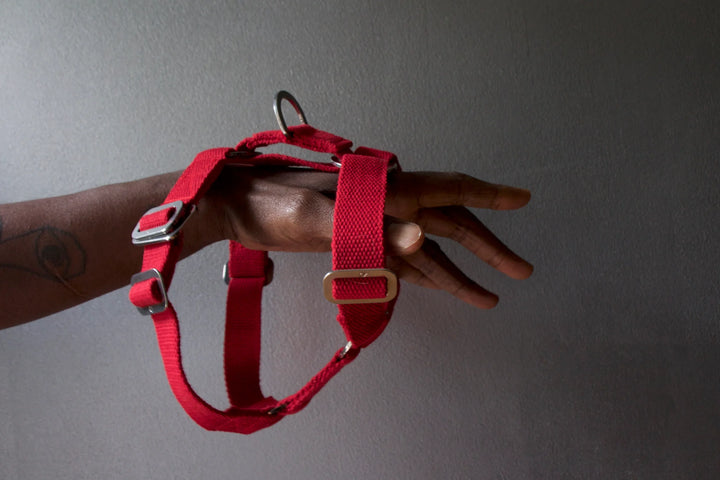 Hindquarters Red Dog Harness
