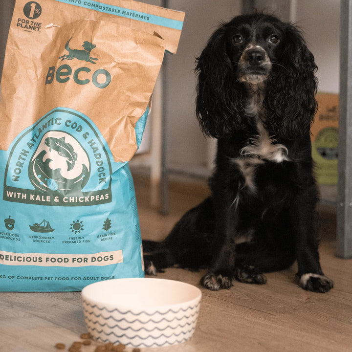 BECO Cod & Haddock Dry Food with Kale & Chickpeas 2kg