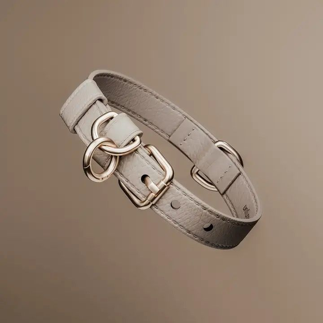 ByTeddy Marshmallow┃Studio Collar