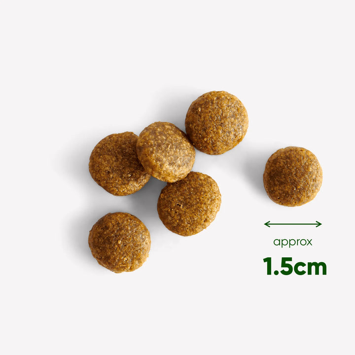 BECO Cod & Haddock Dry Food with Kale & Chickpeas 2kg