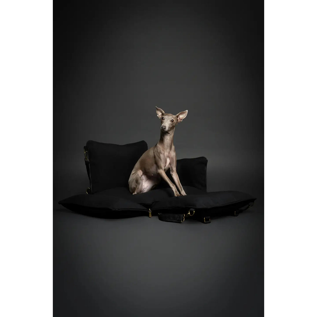 Dog Car Seat Carrier Orthopedic Crushed Foam, Black, Canvas