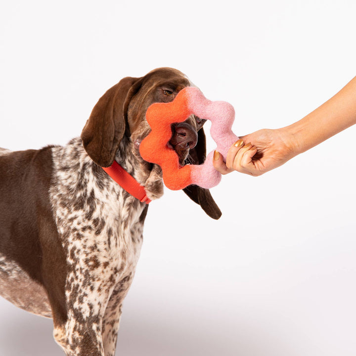 Awoo - Wiggle Ring Felt Toy