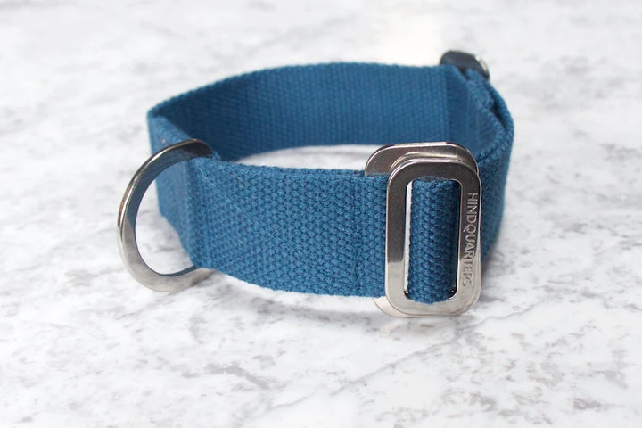 Hindquarters Puddle Blue Dog Collar