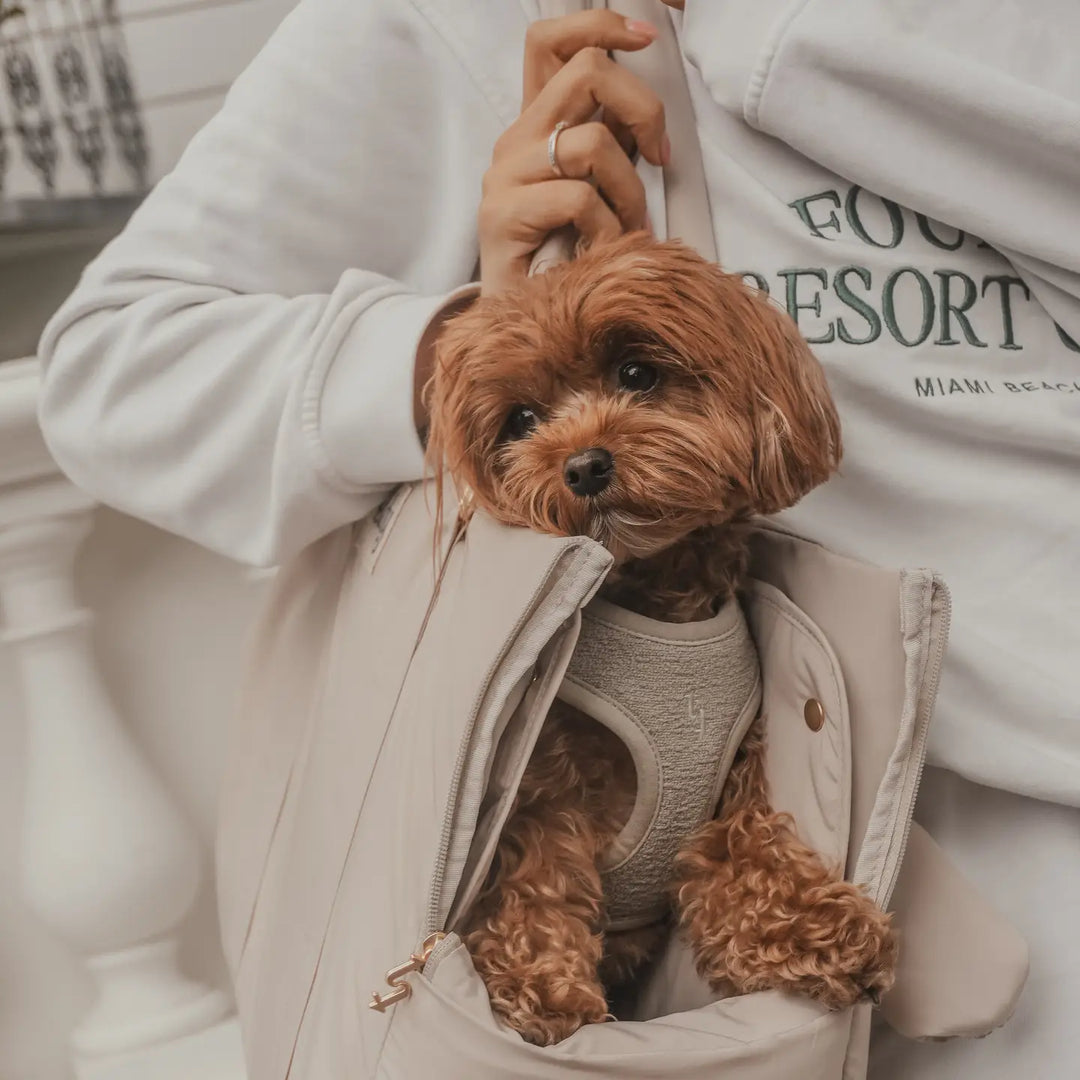ByTeddy Hazelnut┃the Puffer Carrier