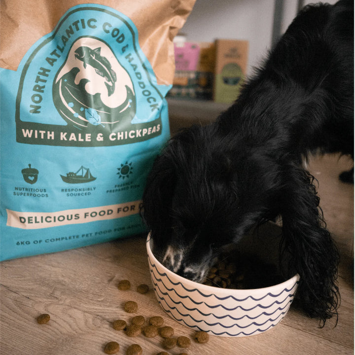 BECO Cod & Haddock Dry Food with Kale & Chickpeas 2kg