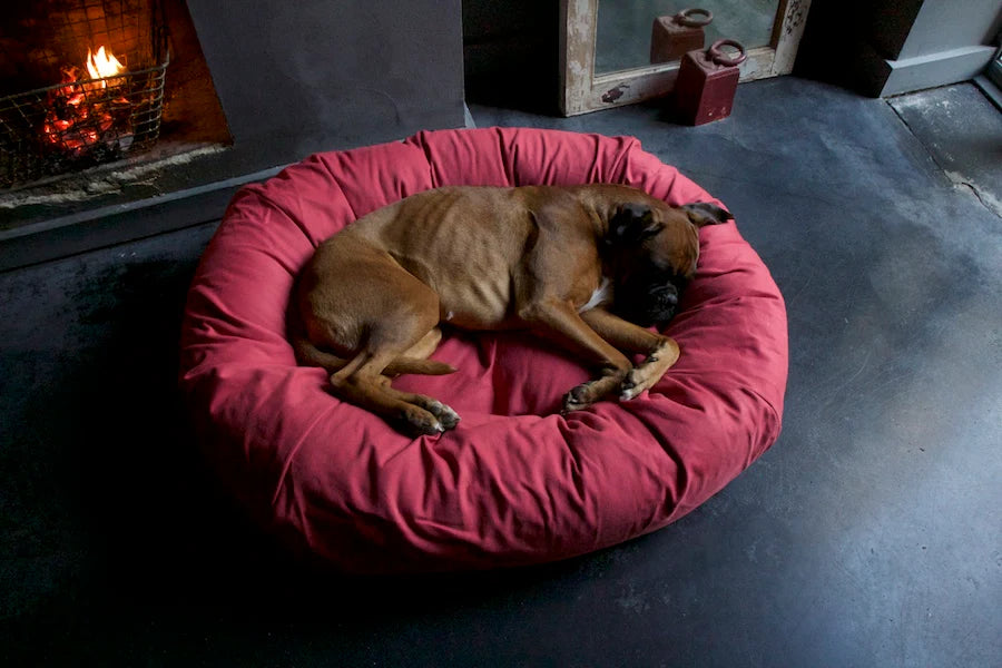 Hindquarters Medium Dog Bed
