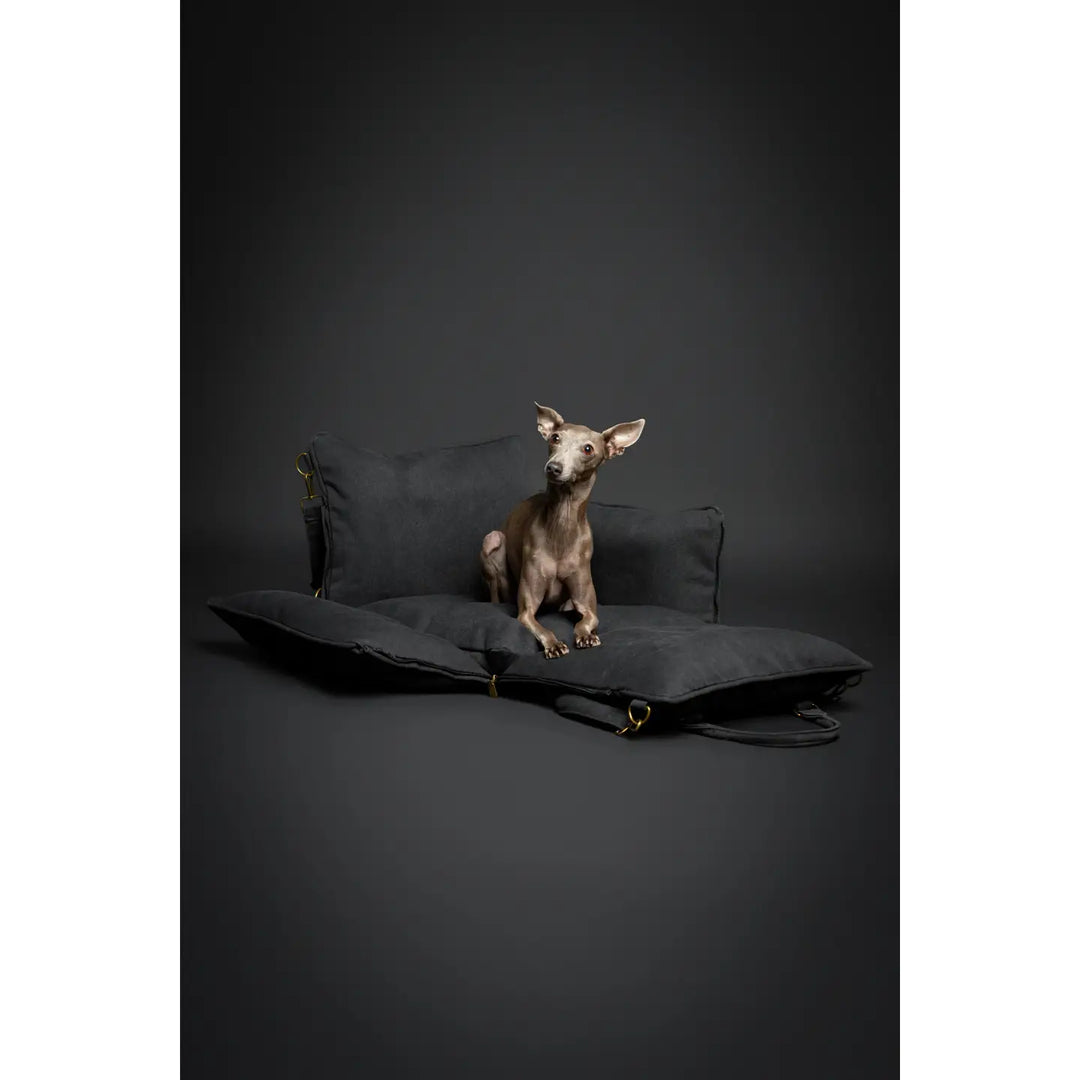 Dog Car Seat Carrier Orthopedic Crushed Foam, Charcoal, Canvas