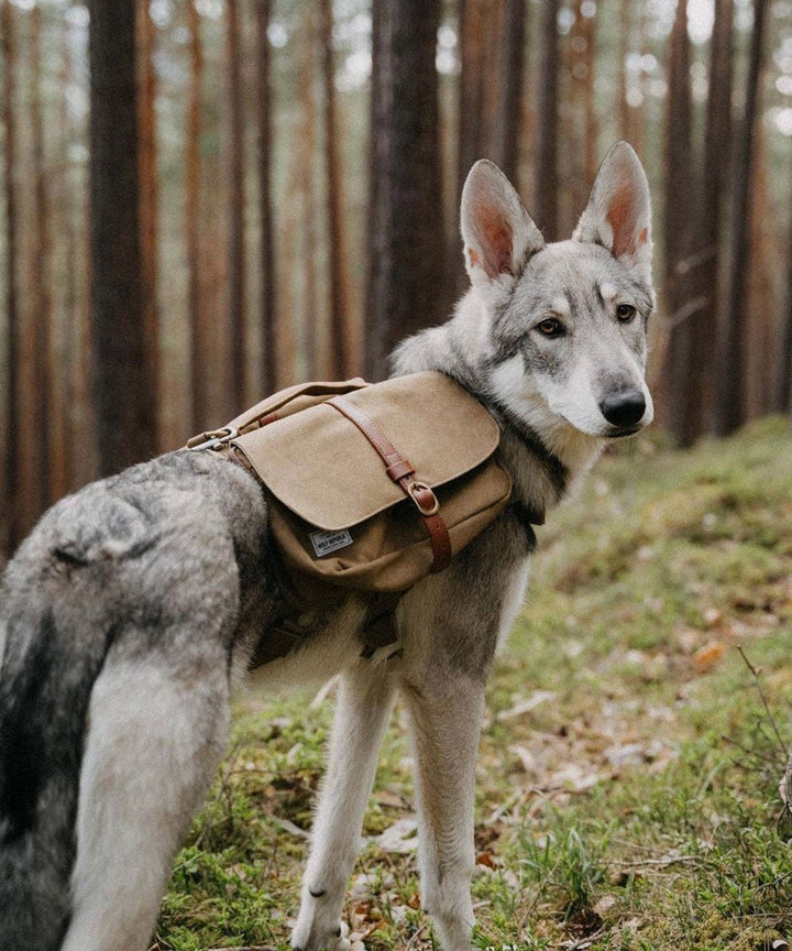 Wolf Republic - Ranger Pack