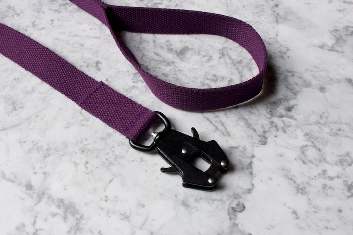 Hindquarters Purple Lead
