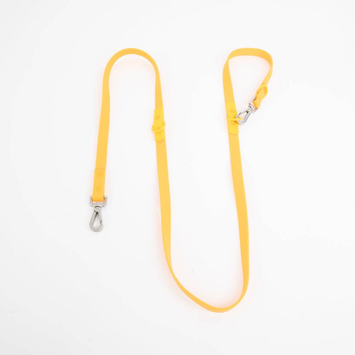 Approved by Fritz - The Fritz Leash: Standard / burgundy sun