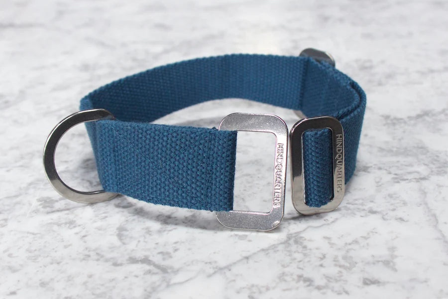 Hindquarters Puddle Blue Dog Collar