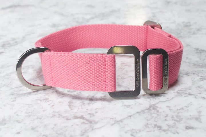 Hindquarters Pink Dog Collar