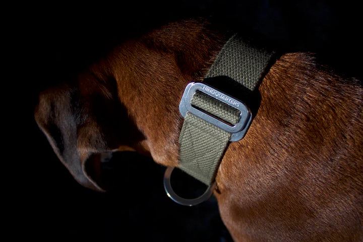 Hindquarters Khaki Dog Collar